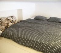 Pronájem bytu Praha