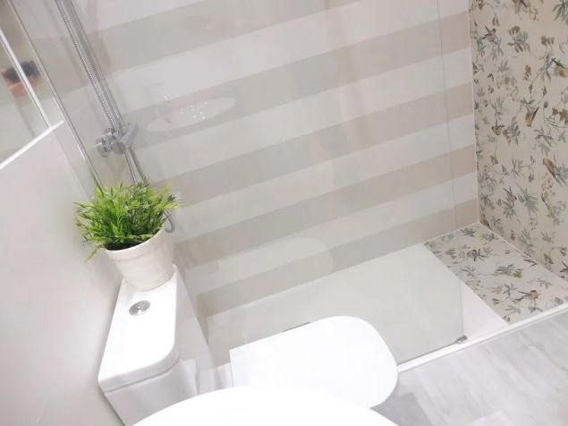 Pronájem bytu Hradec Králové