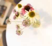 Pronájem pokoje Praha