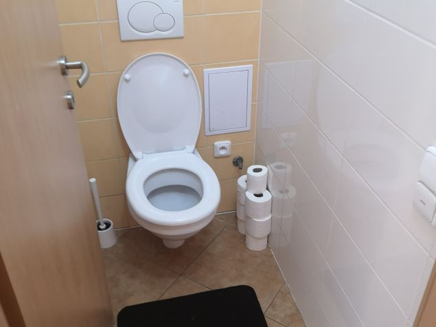 Spolubydlení Olomouc