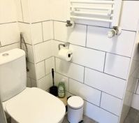 Toilet with towel rail