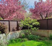 Pronájem bytu Praha