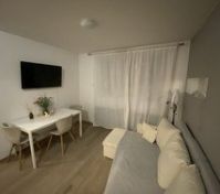 Living room with dining table and sofa