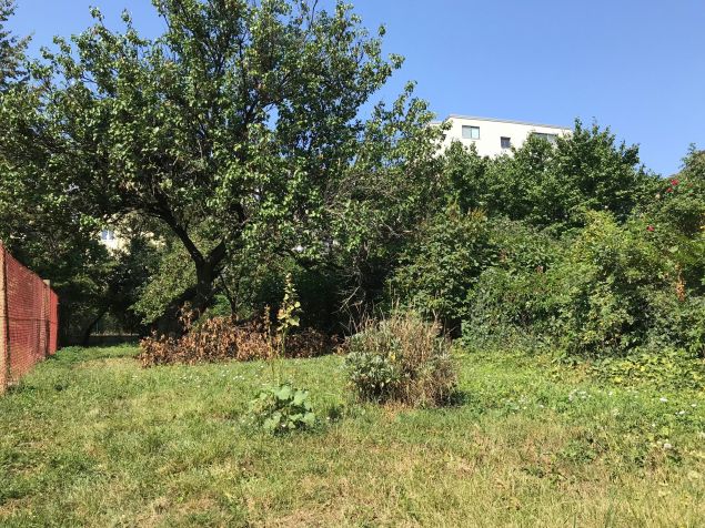 Zahrada je příjemná