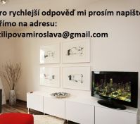 Pronájem bytu Praha