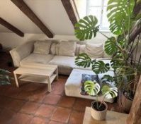 Pronájem bytu Praha