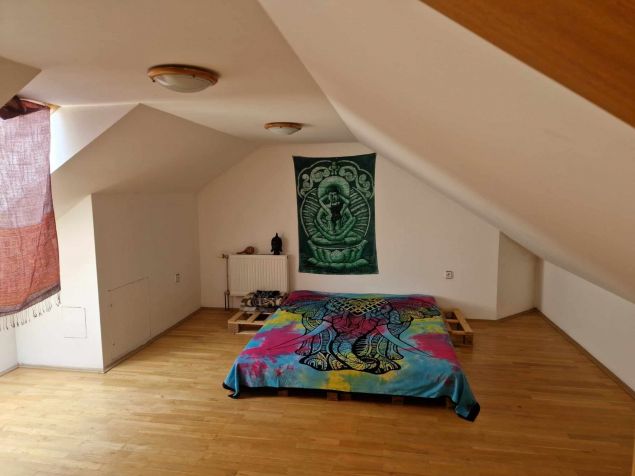 Spolubydlení Dolany