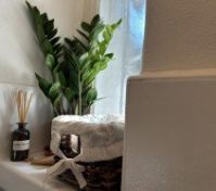 Pronájem bytu Praha