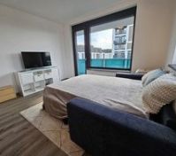 Living Area - Sofa bed