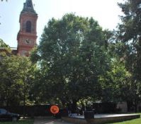 Park 
