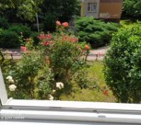 Pronájem bytu Praha