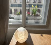 Pronájem pokoje Praha