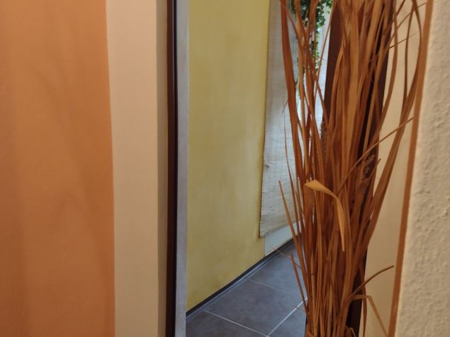 Spolubydlení České Budějovice