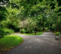 Pronájem bytu Praha