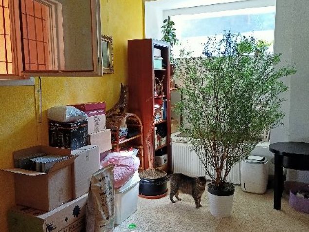 Pronájem pokoje Praha