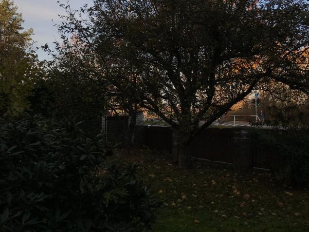 Pronájem pokoje Praha