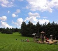 hřiště v lesoparku