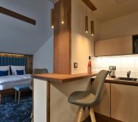 Pronájem bytu Chomutov