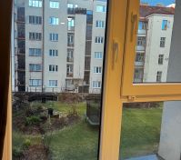 výhled z okna na zahradu