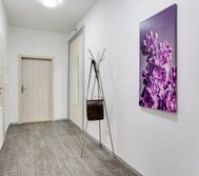 Pronájem bytu Praha