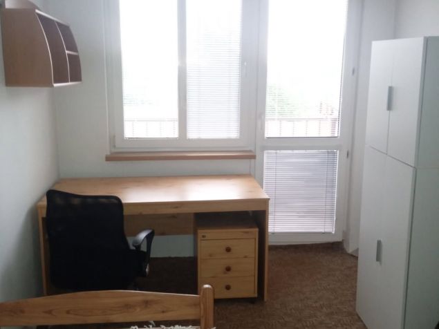 Spolubydlení Nová Ves pod Pleší