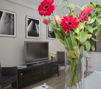 Pronájem bytu Svitavy