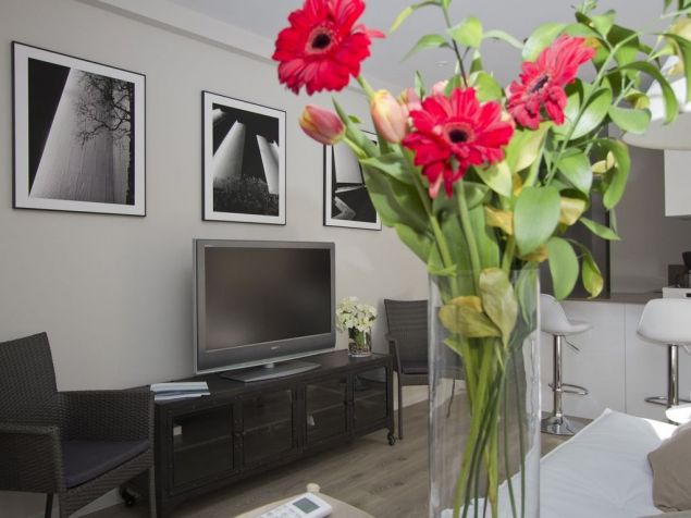 Pronájem bytu Svitavy