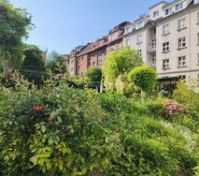  Shared courtyard garden