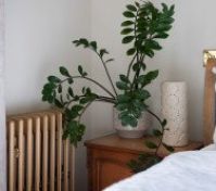 Pronájem bytu Praha