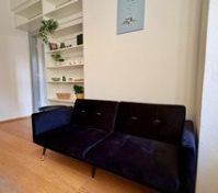 Living room with blue sofa