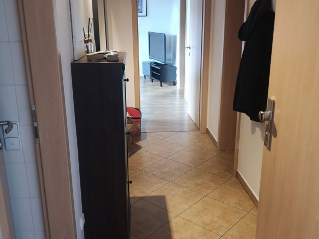 Spolubydlení Olomouc