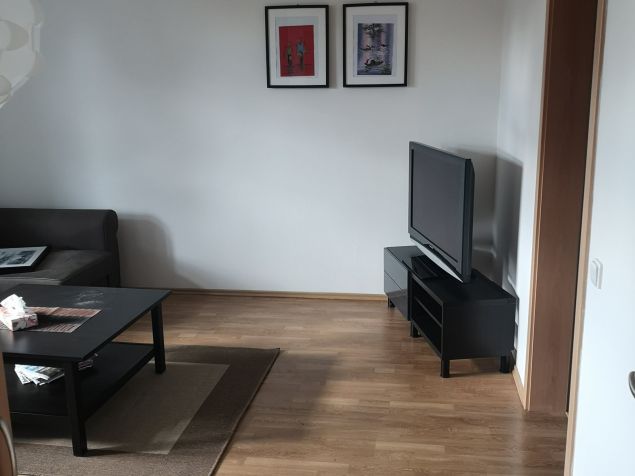 Spolubydlení Olomouc