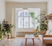 obývák s menším rozkládacím gaučem