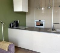 Open kitchen living area green walls