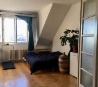 Pronájem bytu Praha