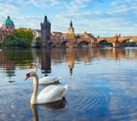 Pronájem bytu Praha