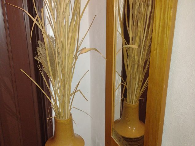 Spolubydlení České Budějovice