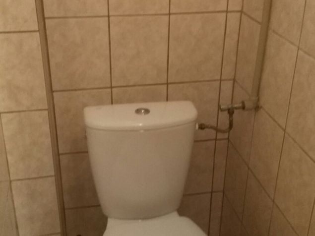 Pronájem bytu Černilov