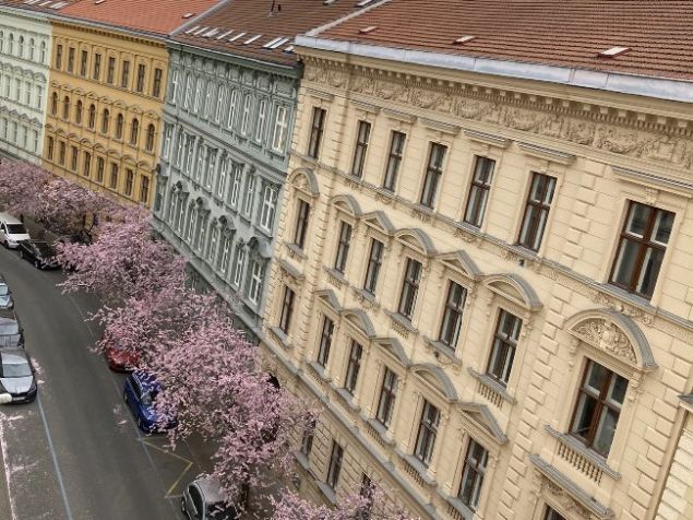 Pronájem pokoje Brno