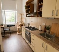 Kitchen (couch and fridge behind the doors)