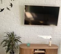 Living room TV brick wall