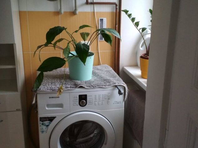 Pronájem bytu Praha