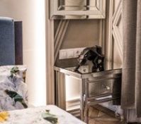 Pronájem bytu Praha