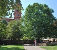 Pronájem pokoje Praha