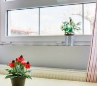 Pronájem bytu Všenory