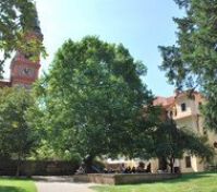 Pronájem pokoje Praha