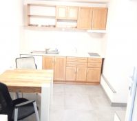 Pronájem bytu Stehelčeves