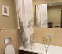 Bathroom bathtub toilet warm tones