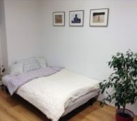  sofa bed in the living room