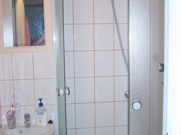 koupelna, sprchový kout